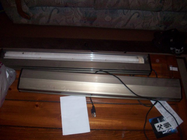 101_1486.jpg