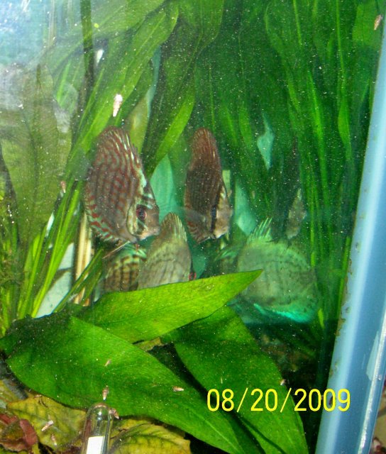 000_3331.jpg