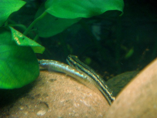 DSC02949.JPG