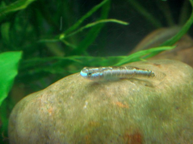DSC02952.JPG