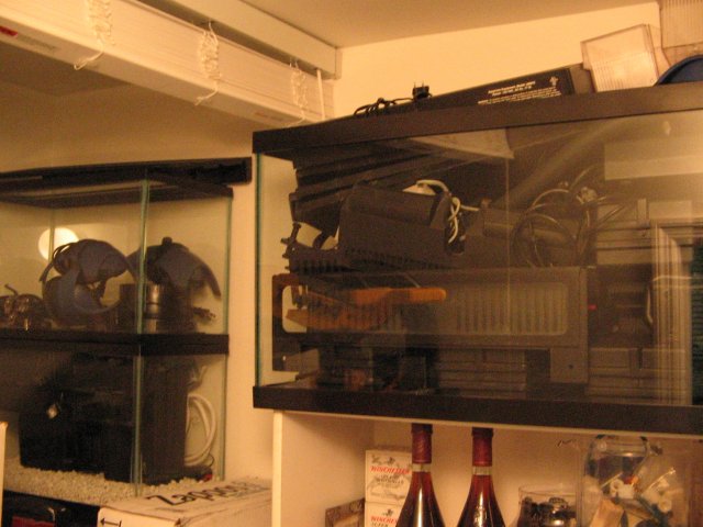 IMG_0001.JPG