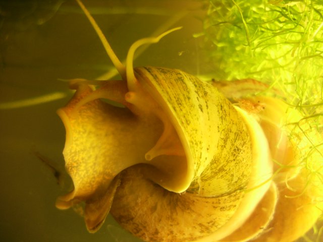 DSCF0986.JPG