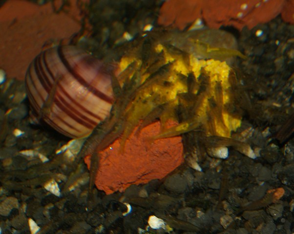 P8172109.JPG