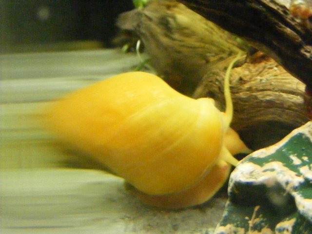 04-08-2009 031.jpg