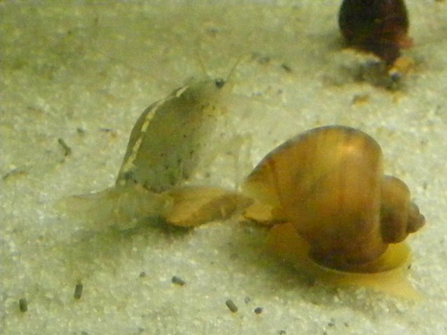 04-27-2009 006.jpg