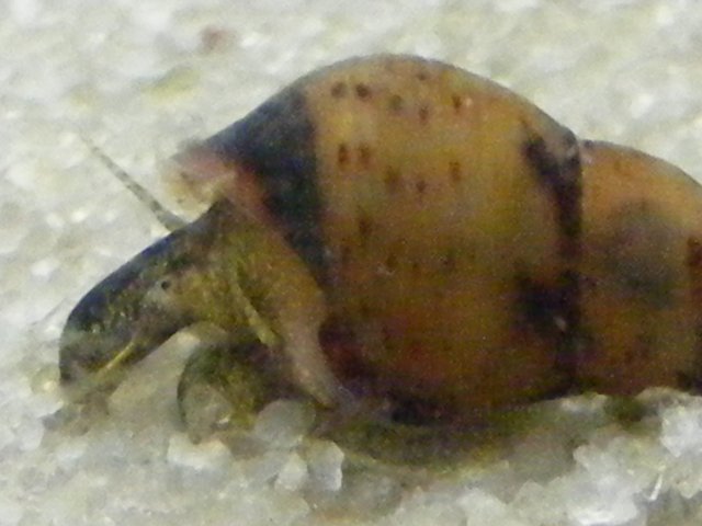 05-01-2009 062.jpg