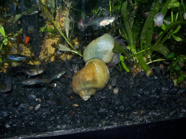 100_2386.JPG