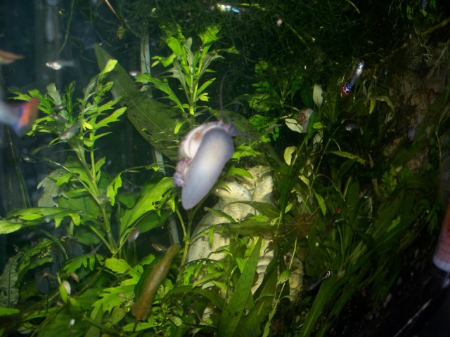 100_2394.JPG