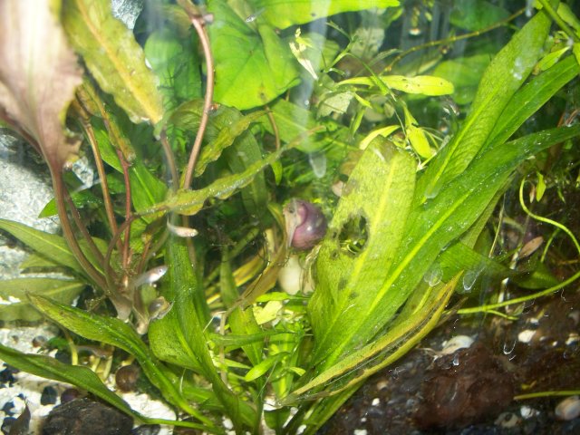 100_2402.JPG
