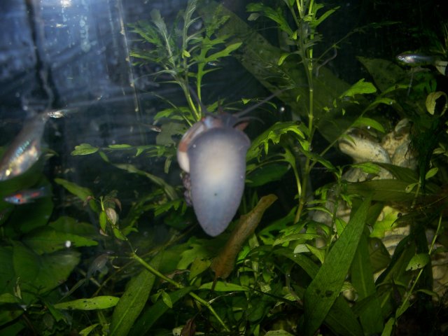 100_2392.JPG