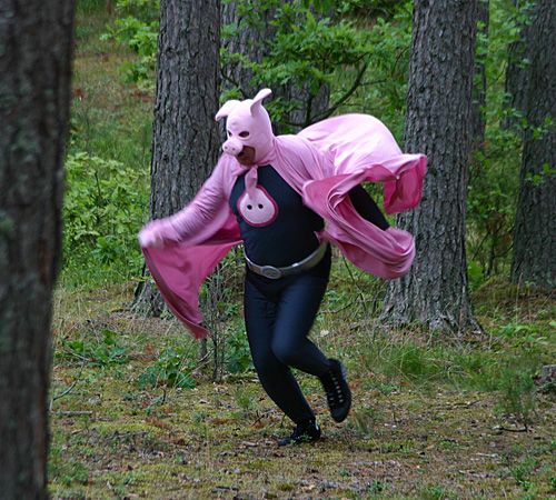 pink-pig-fairy.jpg