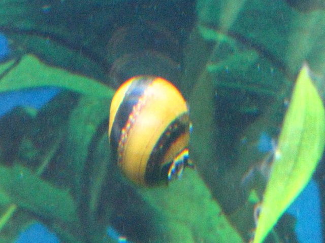 IMG_1805.JPG