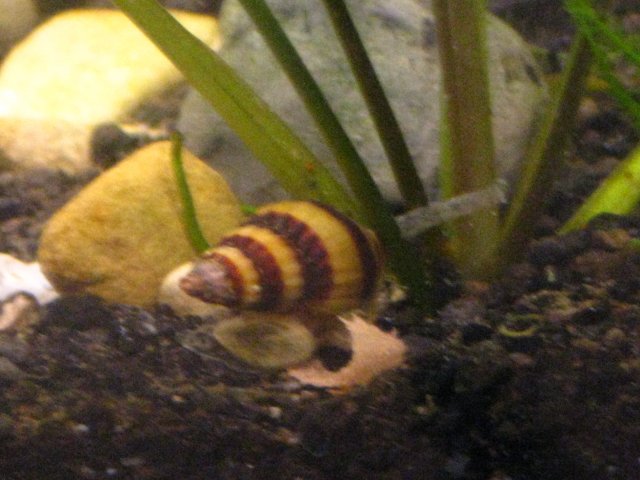 IMG_1820.JPG