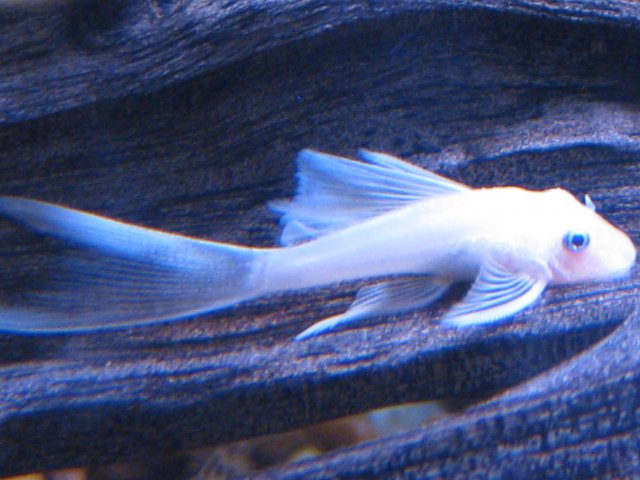 Picture 089.jpg
