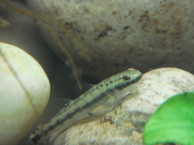 DSC02968.JPG