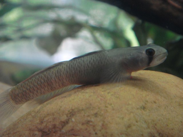 DSC02971.JPG