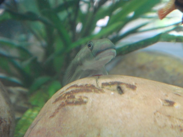 DSC02972.JPG