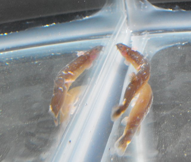 DSCF0014.JPG