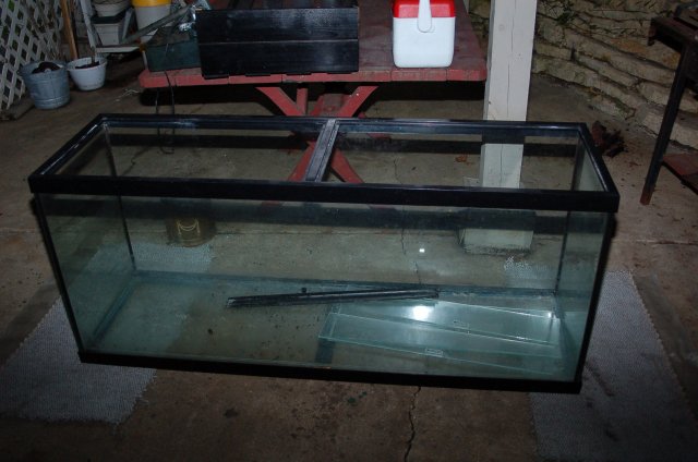 DSC_1684.JPG DSC_1684.JPG