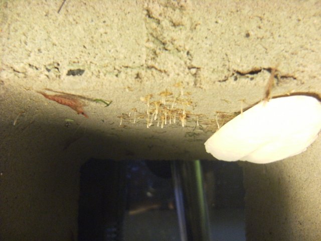 DSCF1070.JPG