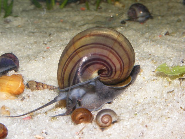 05-11-2009%20007.jpg