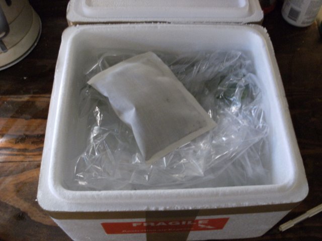DSCF1124.JPG DSCF1124.JPG