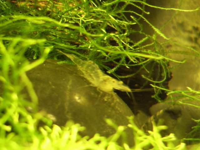 DSCF1137.JPG DSCF1137.JPG