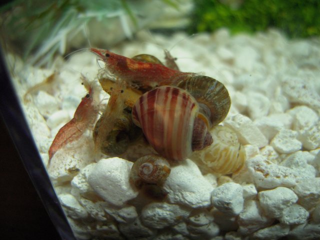 DSCN2585.JPG