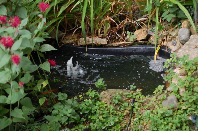 DSC_1249.JPG