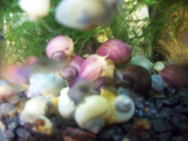 100_2469.JPG