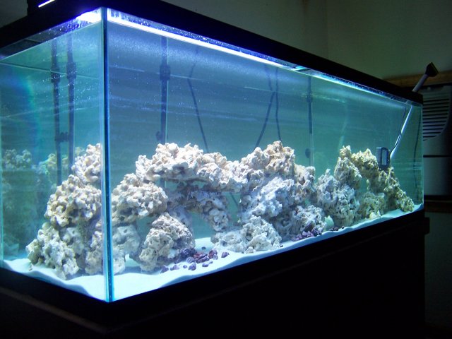 100_0520.JPG