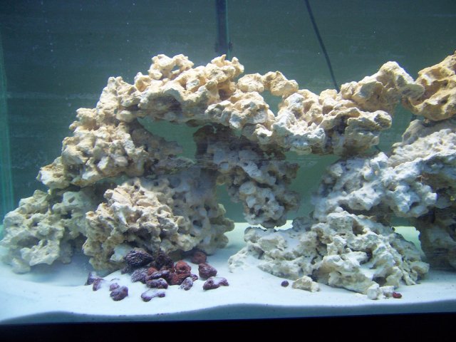 100_0535.JPG