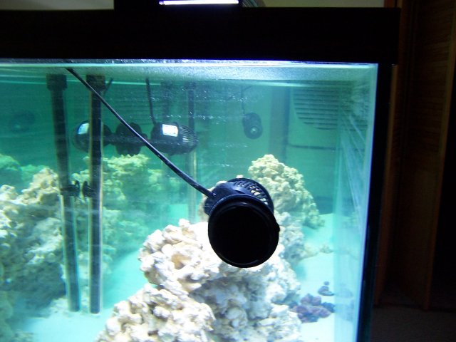 100_0540.JPG