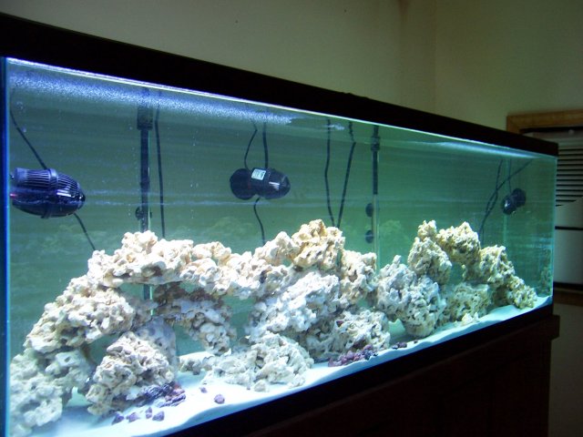 100_0541.JPG