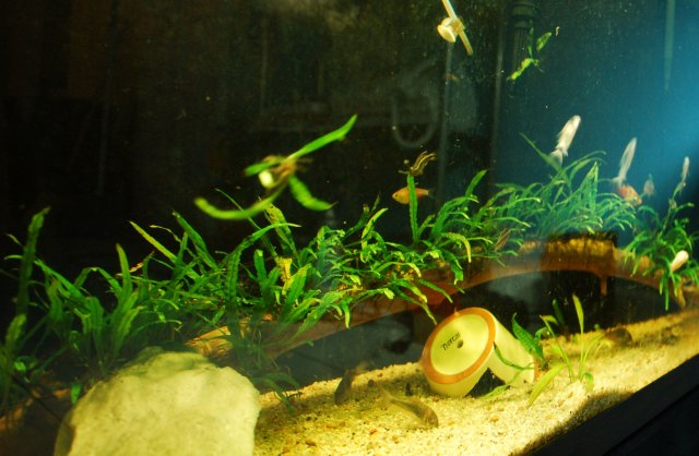 DSC_0193.JPG DSC_0193.JPG