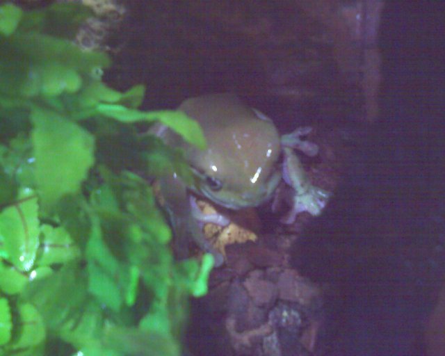 061920081054.jpg