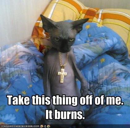 CrossItBurns.jpg