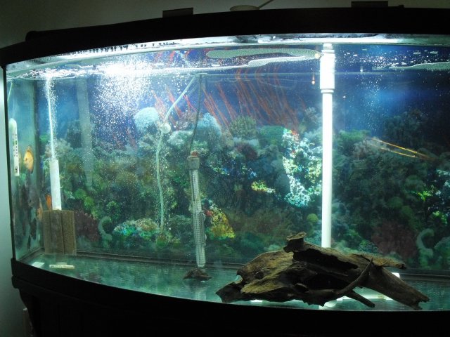 DSCF1071.JPG