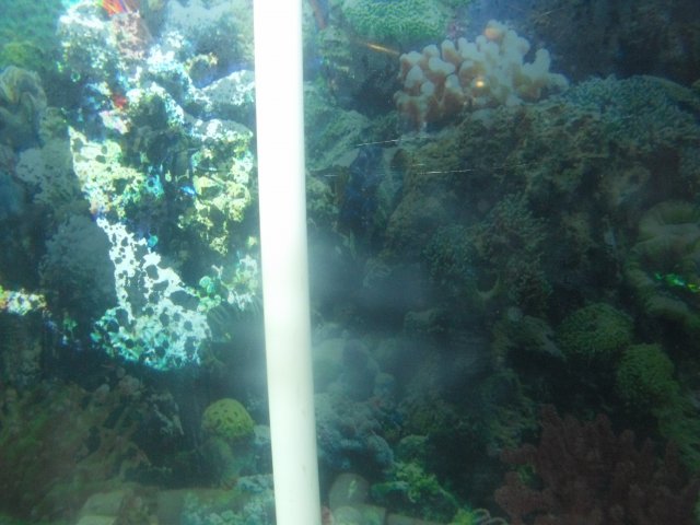 DSCF1072.JPG