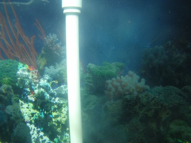 DSCF1073.JPG