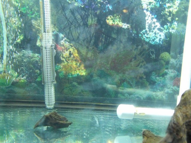DSCF1076.JPG
