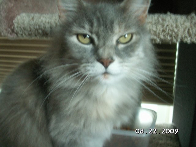 PICT0195.JPG