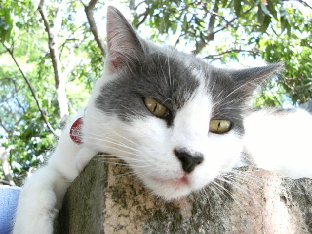 DSCF0340.JPG