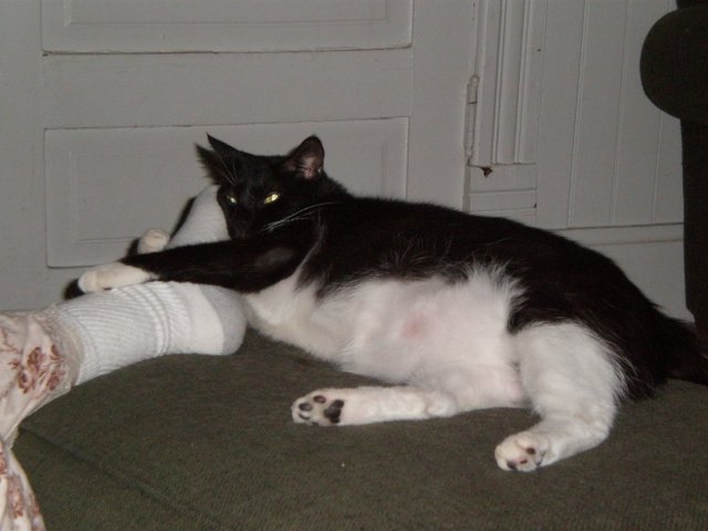 Sara Pics 108.JPG