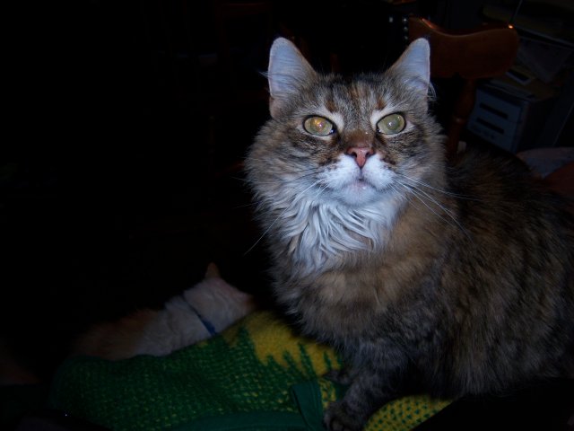 100_0154.jpg