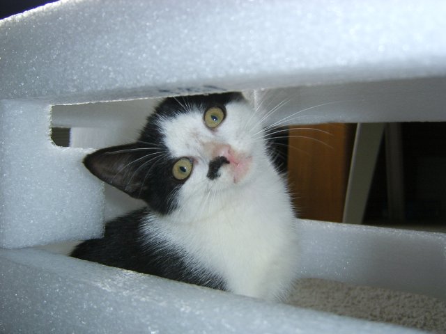october2007012.JPG