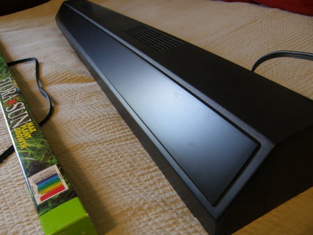 P8100175.JPG