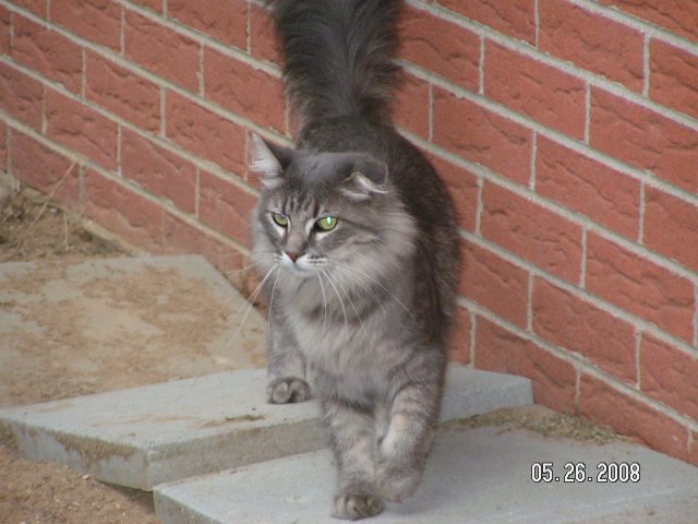 June 2008 006.jpg