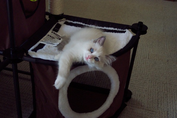 yukinew 003.jpg