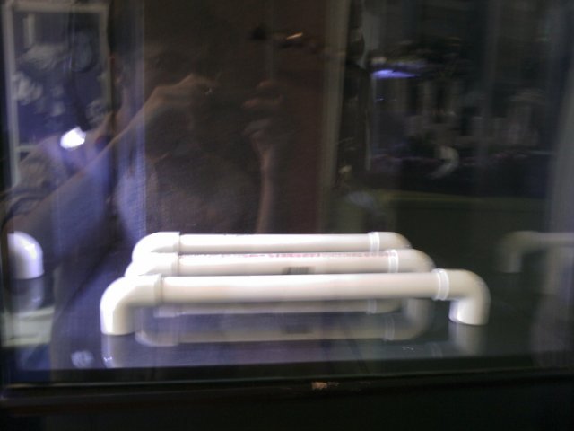 Phone Pictures 012.jpg